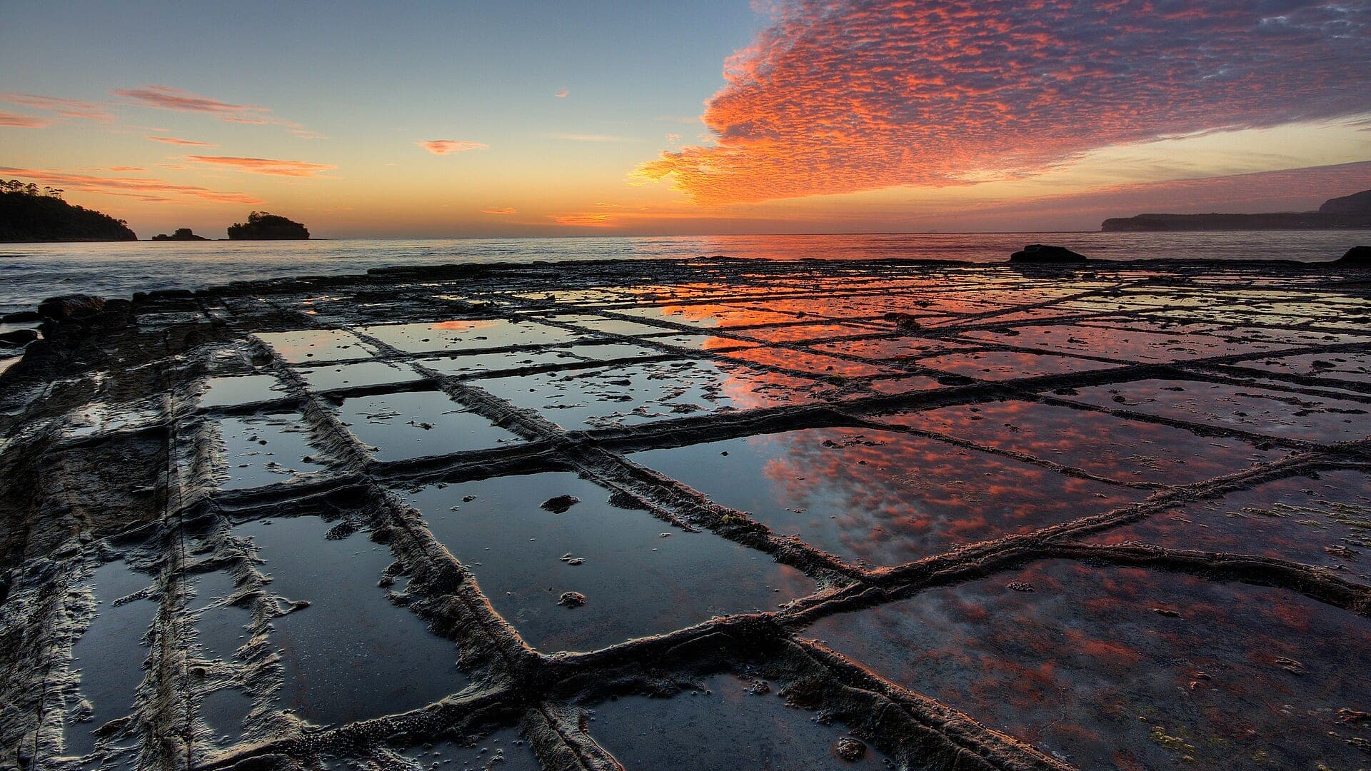 Tessellated rock slabs at Eaglehawk Neck in low warm light