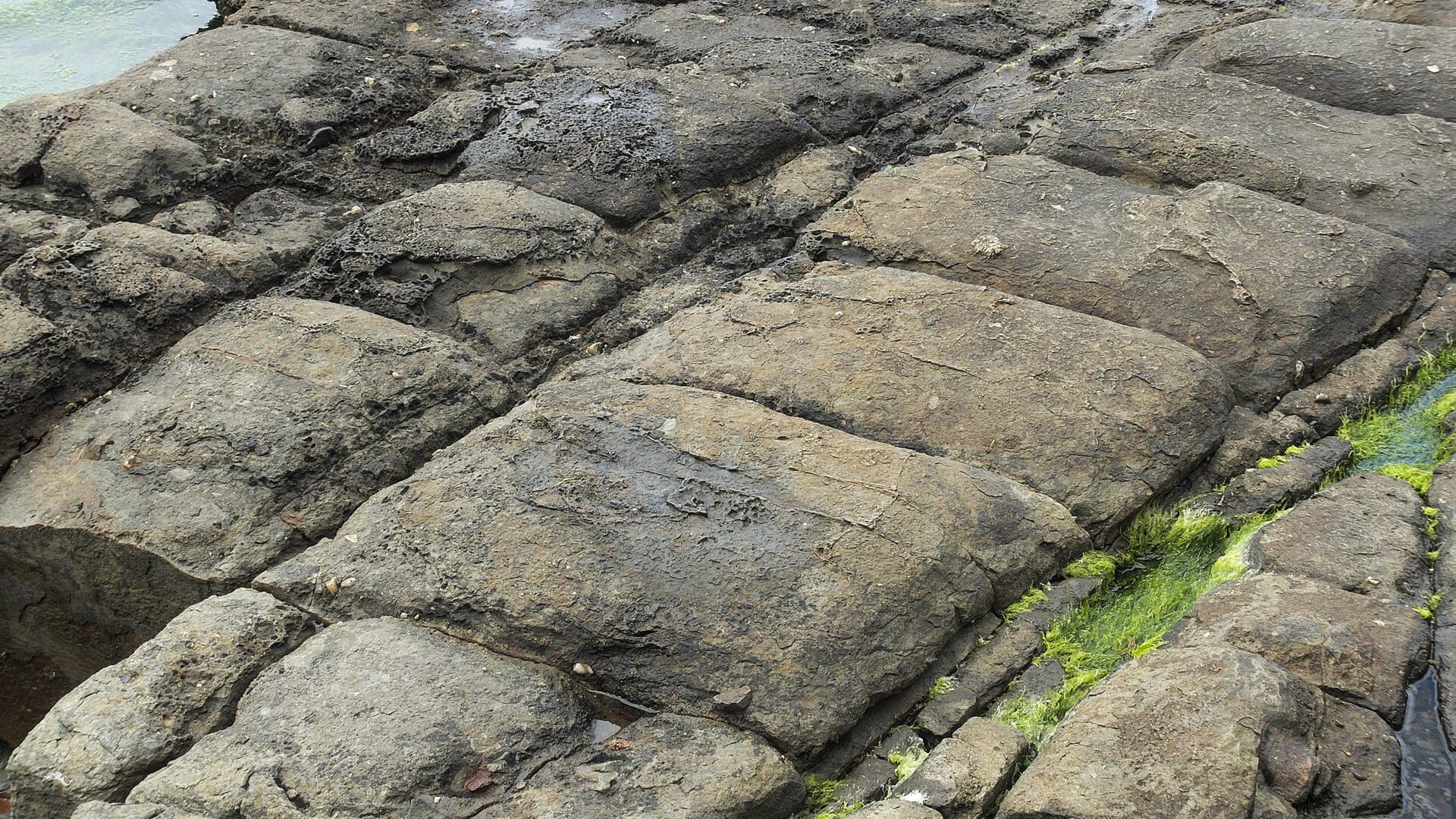 Geometric coastal rock slabs catching early light at Eaglehawk Neck