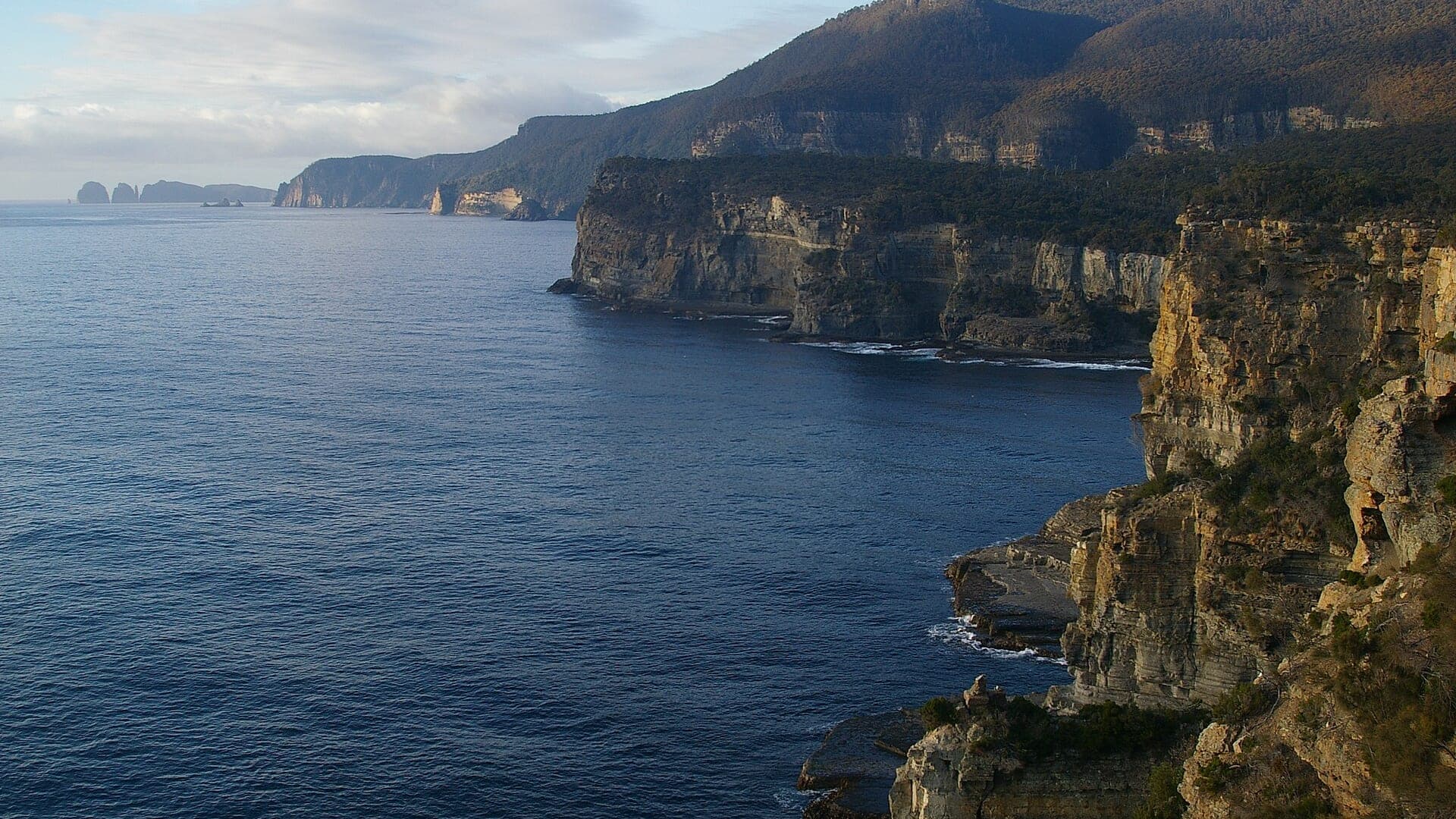 Coastal vegetation and cliffs above the Tasman National Park shoreline
